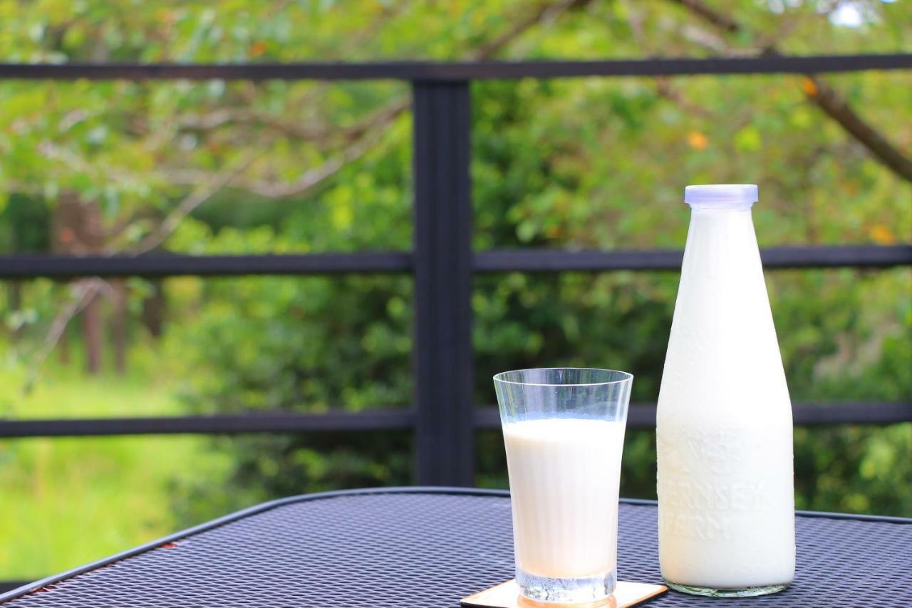 The Guernsey Hotel & Resort Taketa Eksteriør bilde